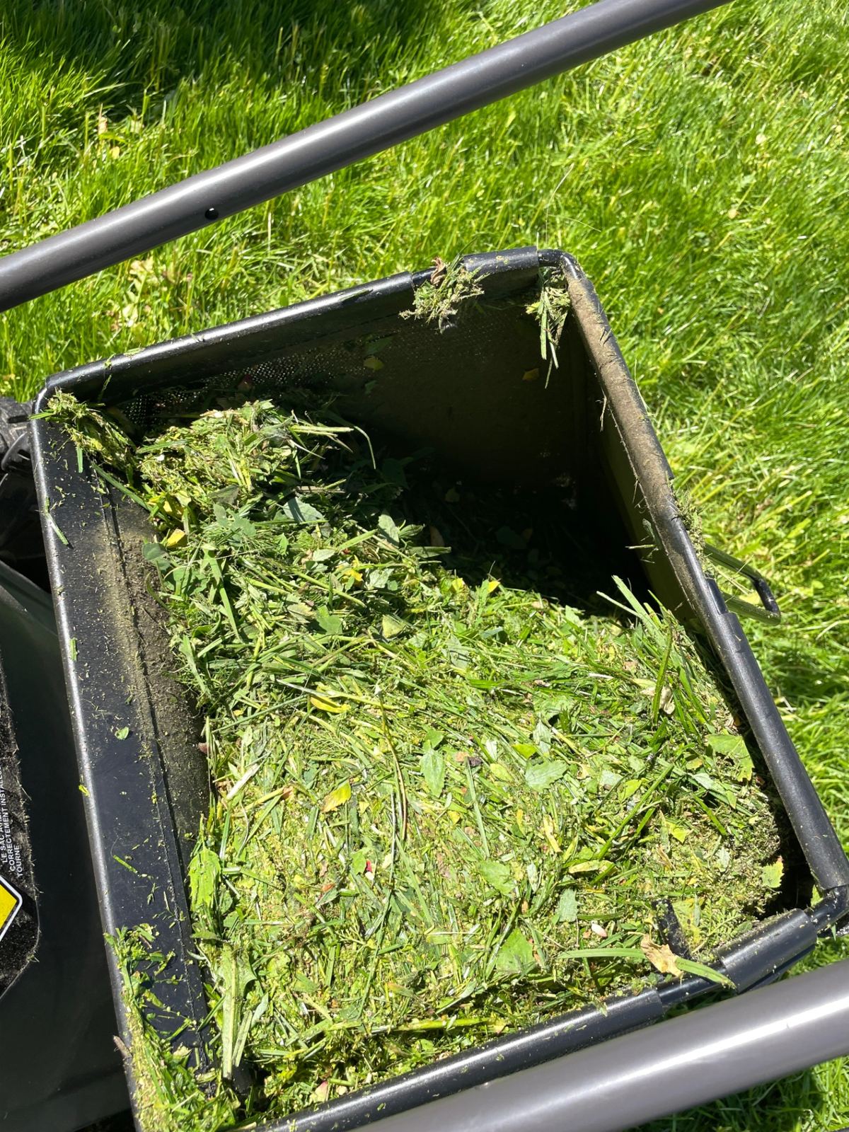 Närbild på uppsamlare full med klippt gräs och ogräs