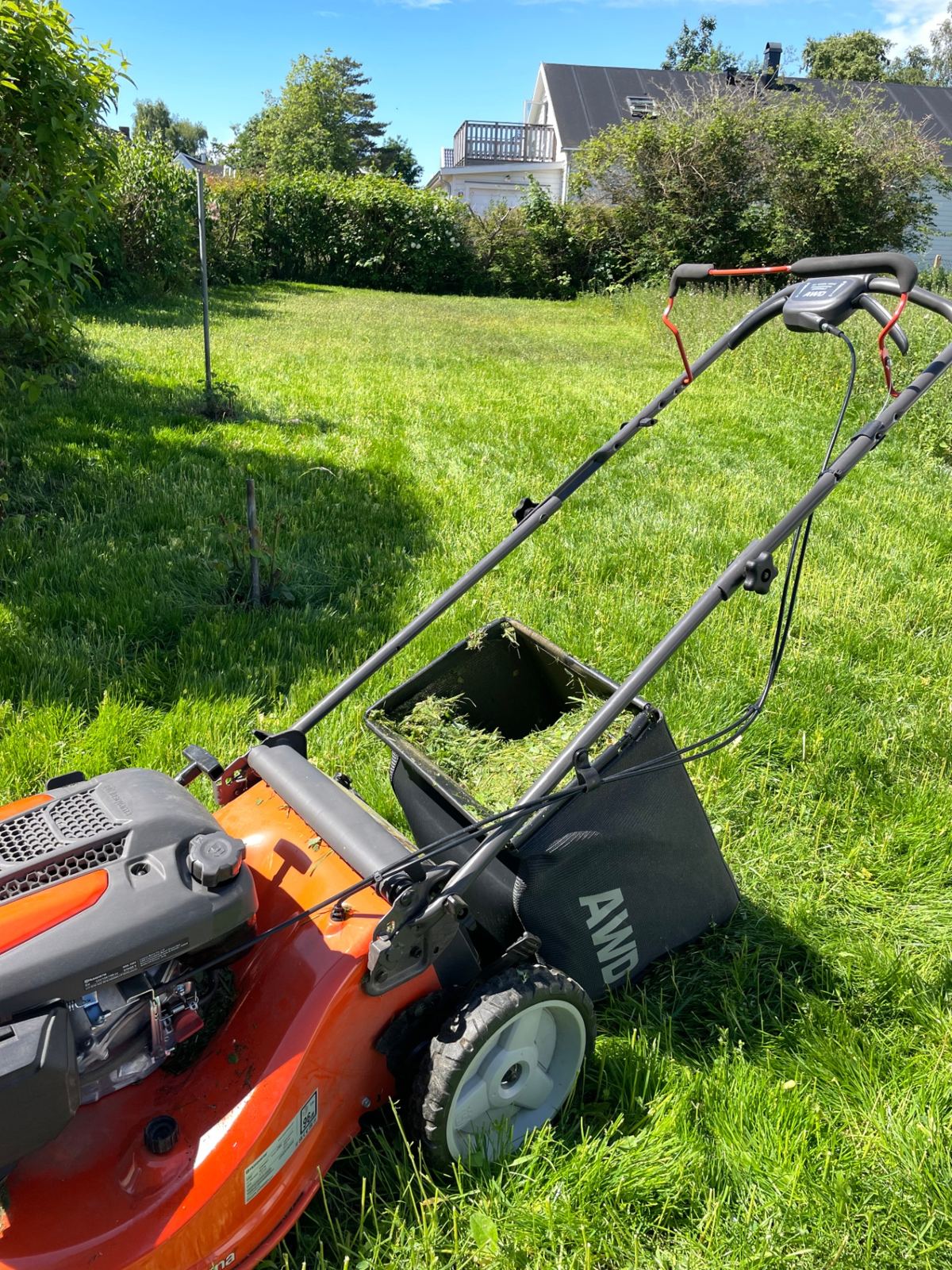 Gräsklippare med full uppsamlare på den nyklippta ytan