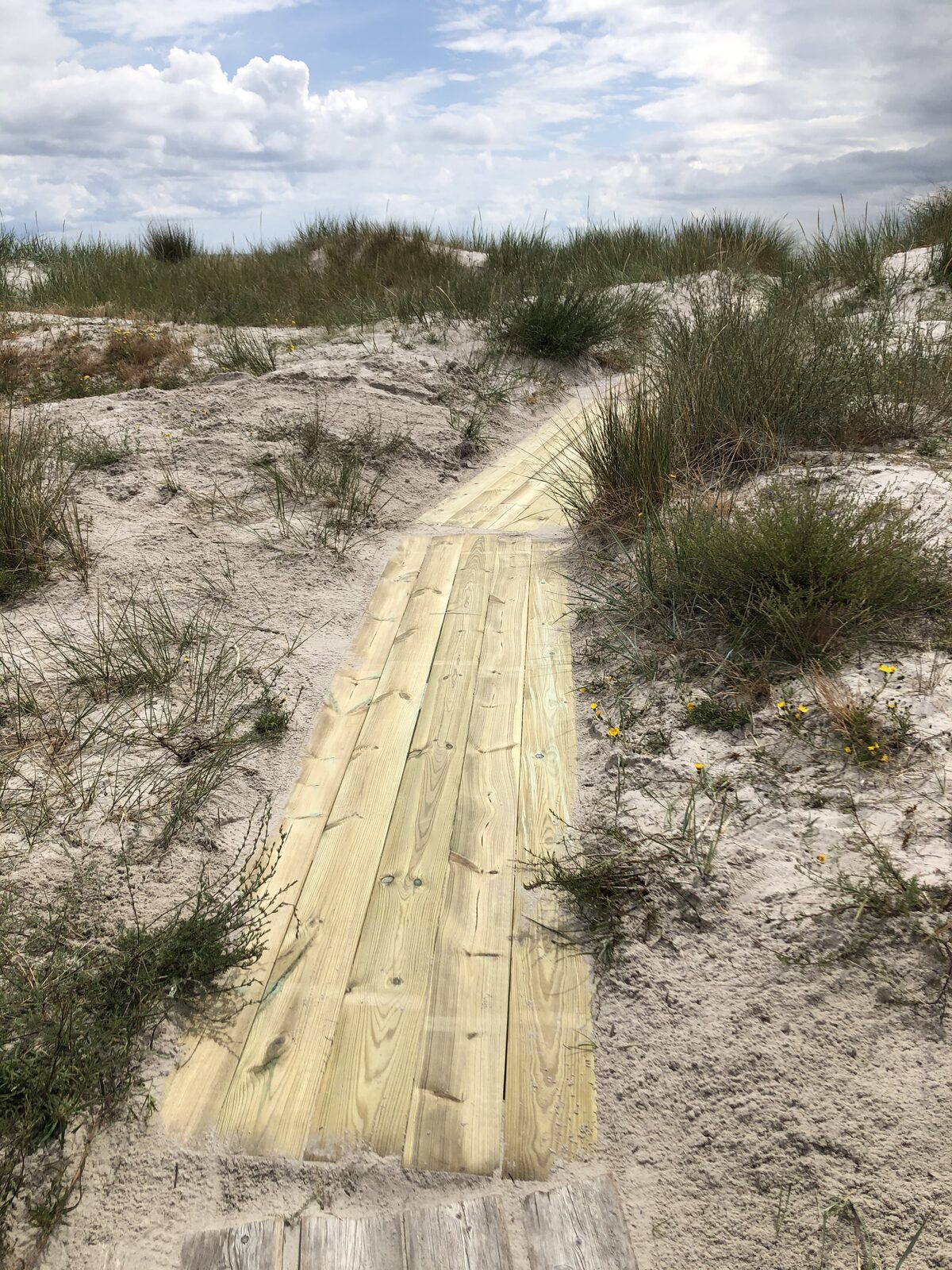 Underhåll av strandgångarna i Ljunghusen