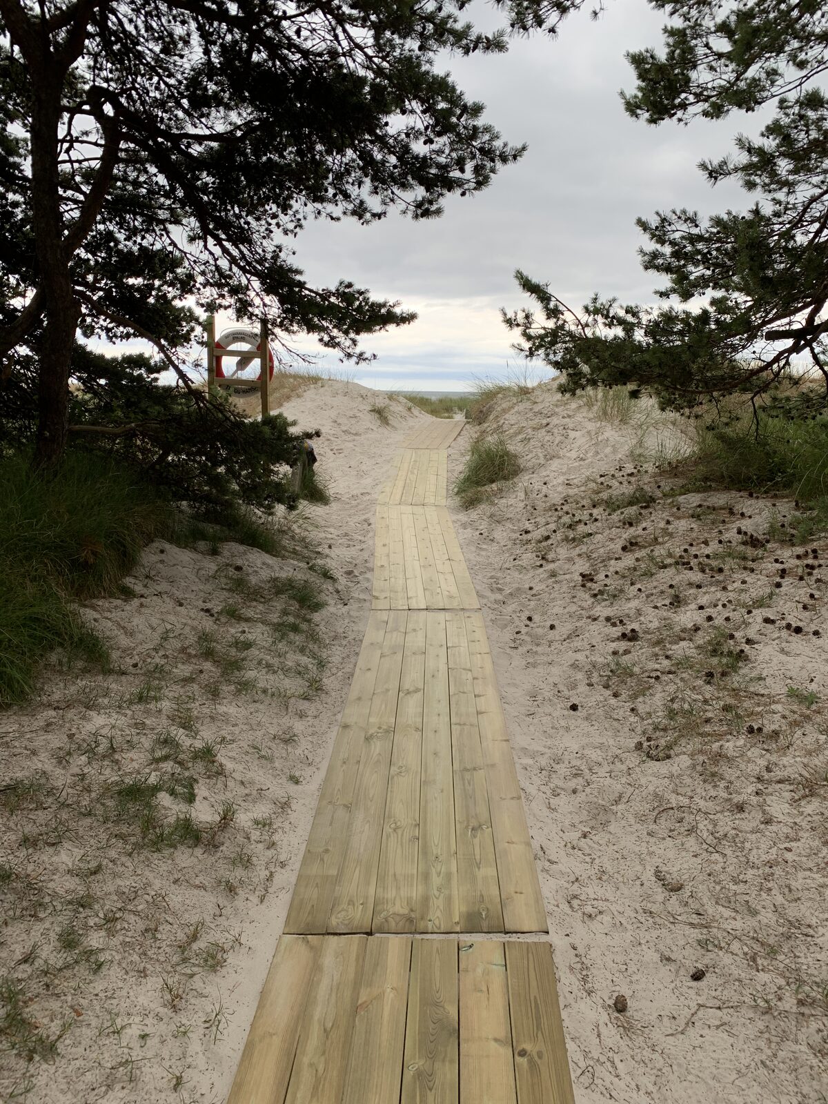Reparation av spänger längs stranden i Ljunghusen
